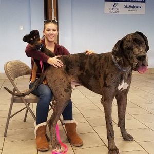 Meet your Posher, Amanda